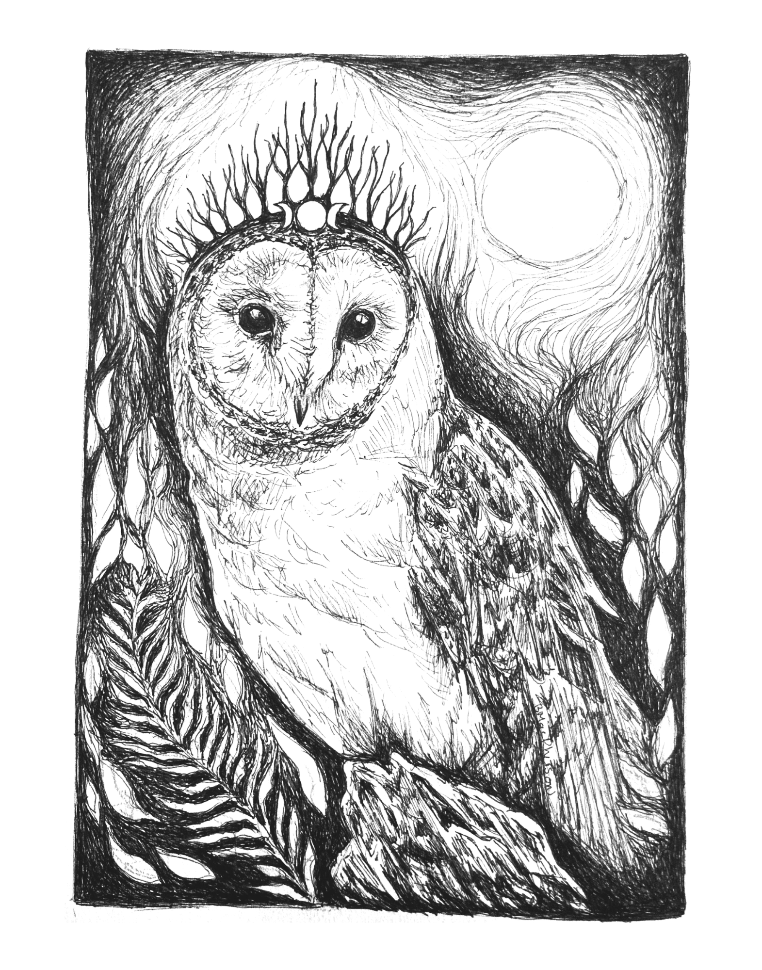 Night Queen - Barn Owl Fine Art Print