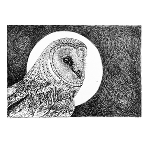 Barn Owl & Moon - Original Pen & Ink Illustration (5x7)
