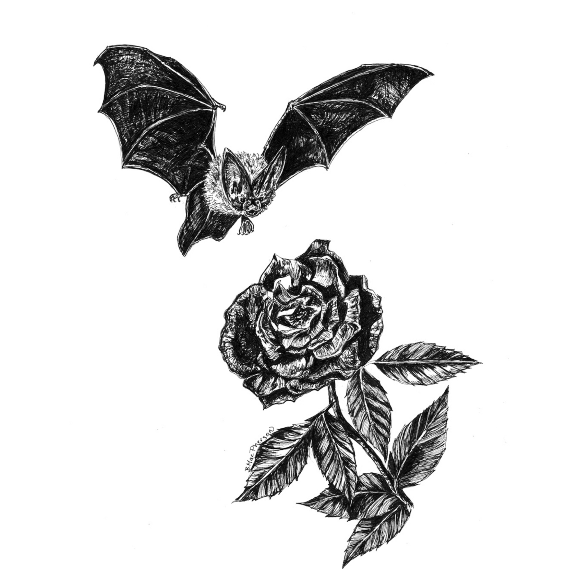 Bat & Rose Fine Art Print