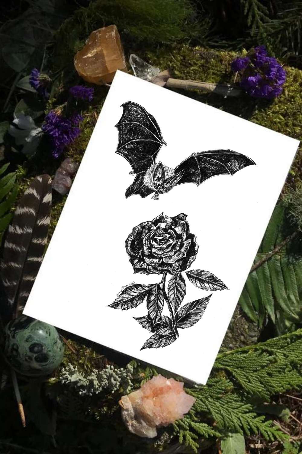 Bat & Rose