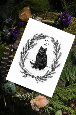 The Familiar -Black Cat Fine Art Print