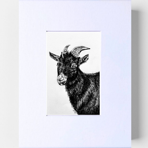 Custom Pet Portrait