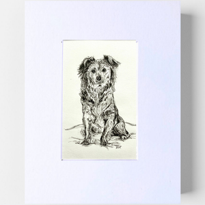 Custom Pet Portrait