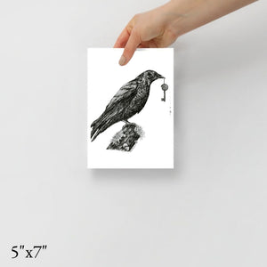 Corvids Gift - Crow Fine Art Print