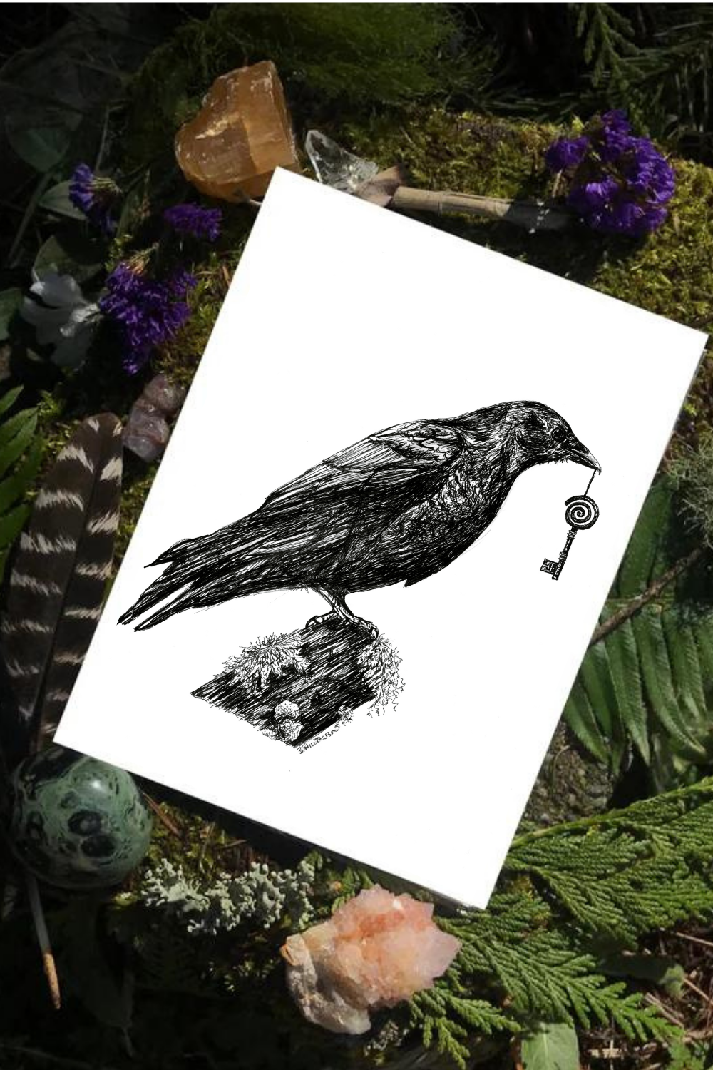 Corvid's Gift -Fine Art Print