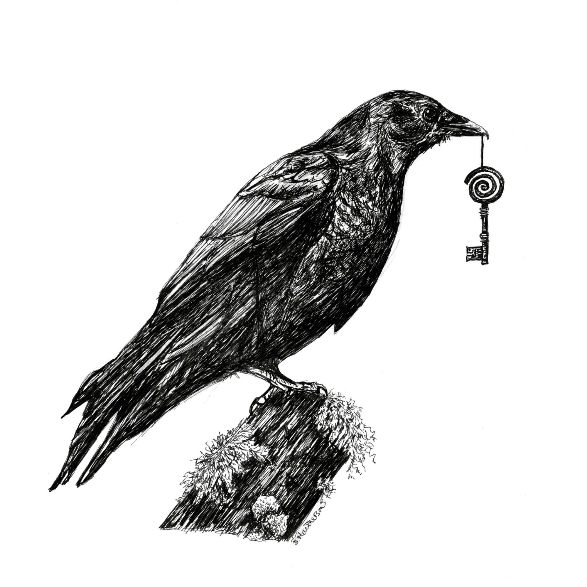 Corvid's Gift -Fine Art Print