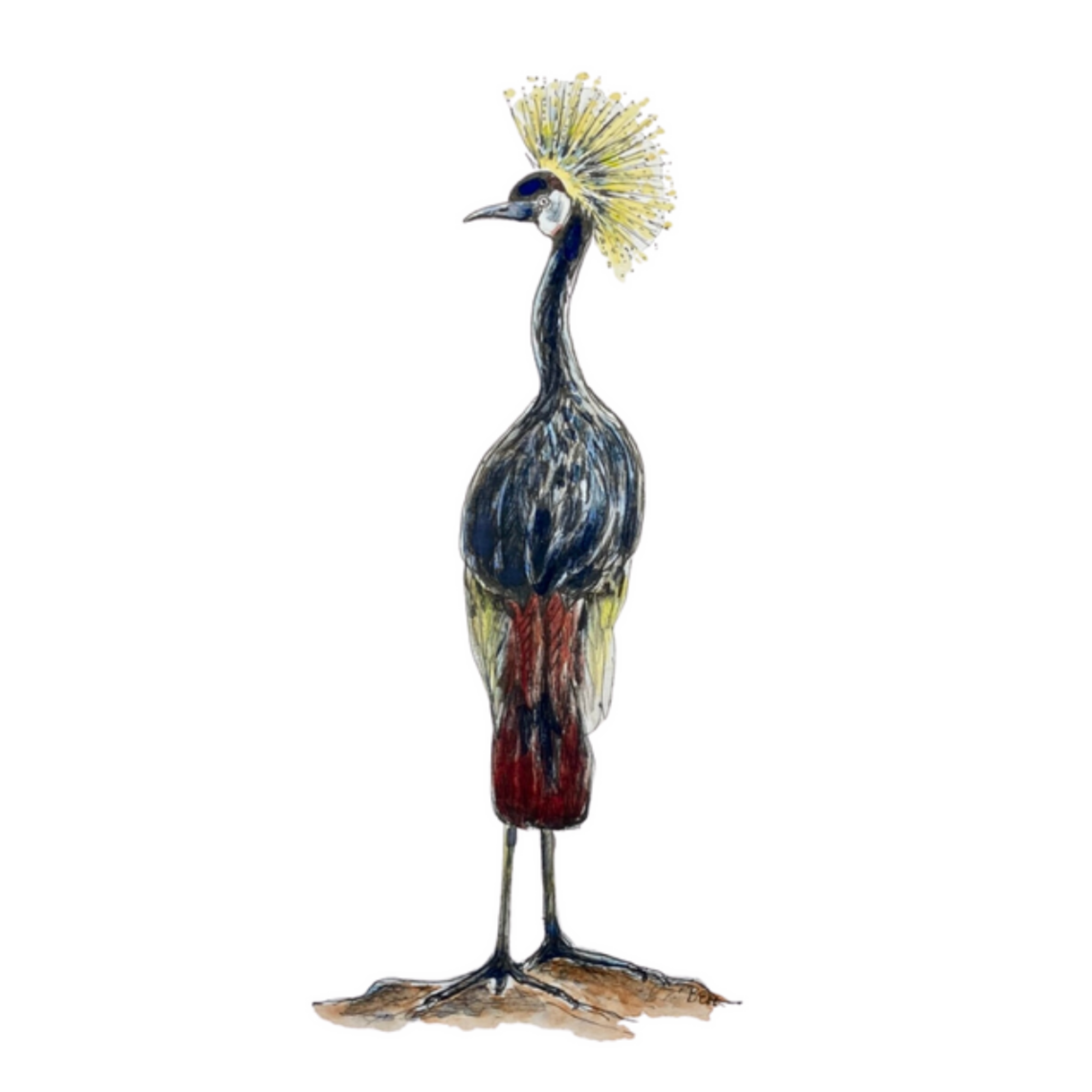 Crowned Crane - Original Watercolor Illustration