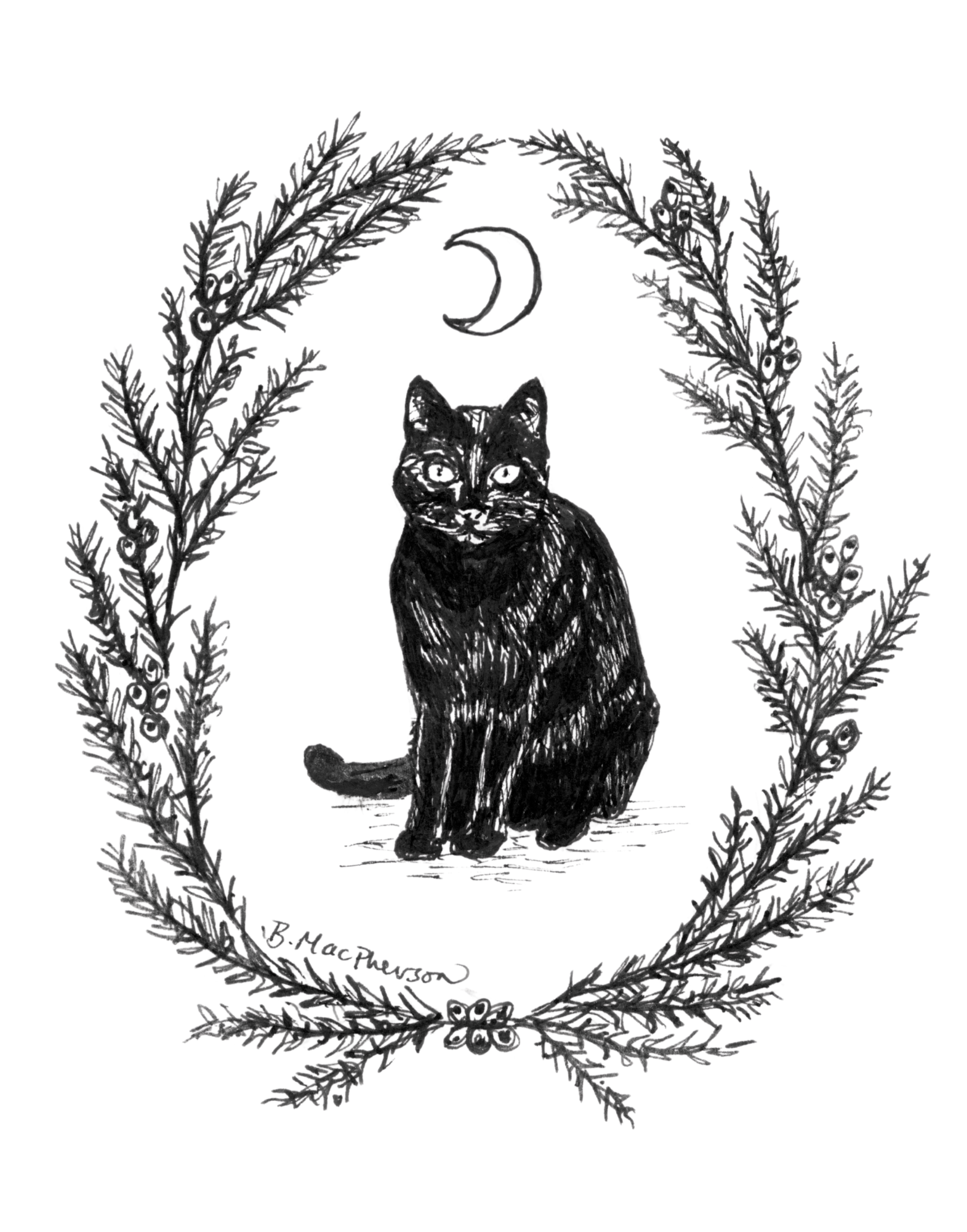 The Familiar -Black Cat Fine Art Print