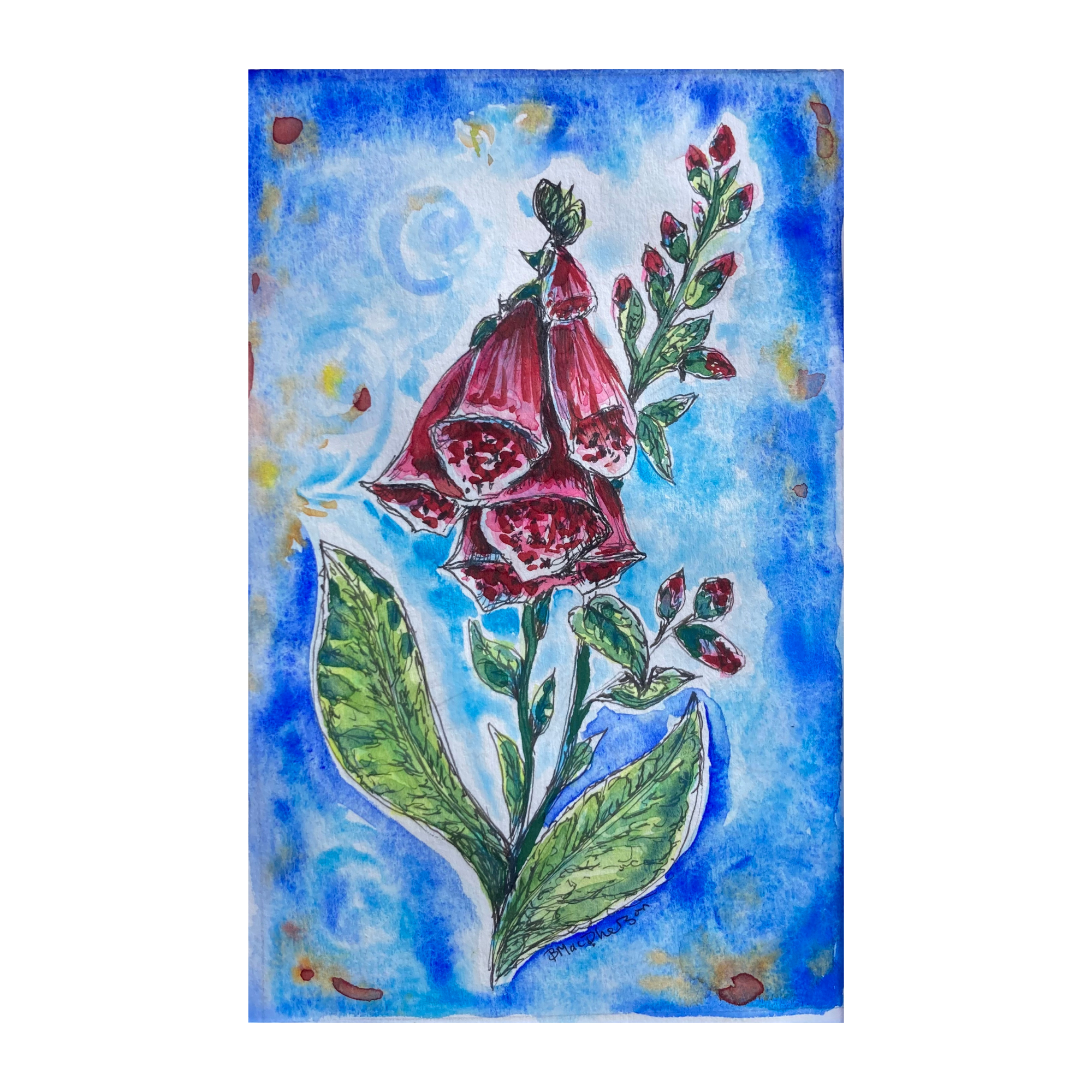 Foxglove - Original Watercolor Painting