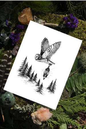 Lighting the Way - Barn Owl Fine Art Print