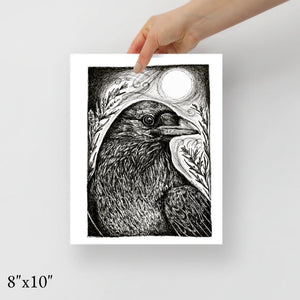 Midnight Messenger - Raven Fine Art Print