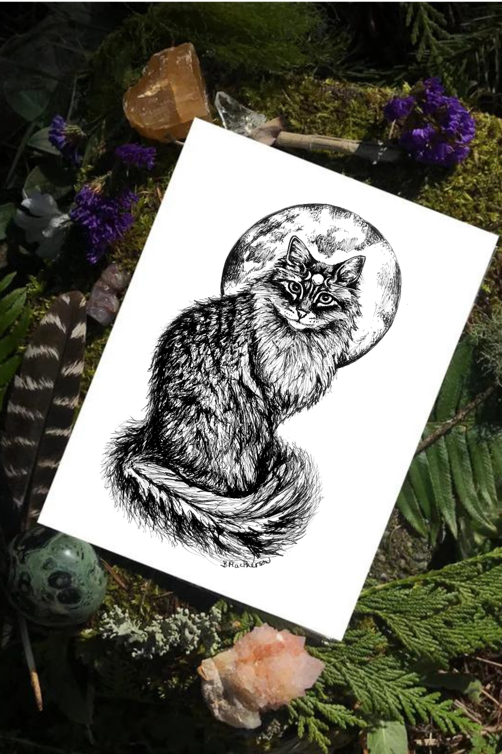 Pen & ink illustration of a fluffy cat with a moon crown. Gothic style art print by B. MacPherson Studio placed on moss and ferns.