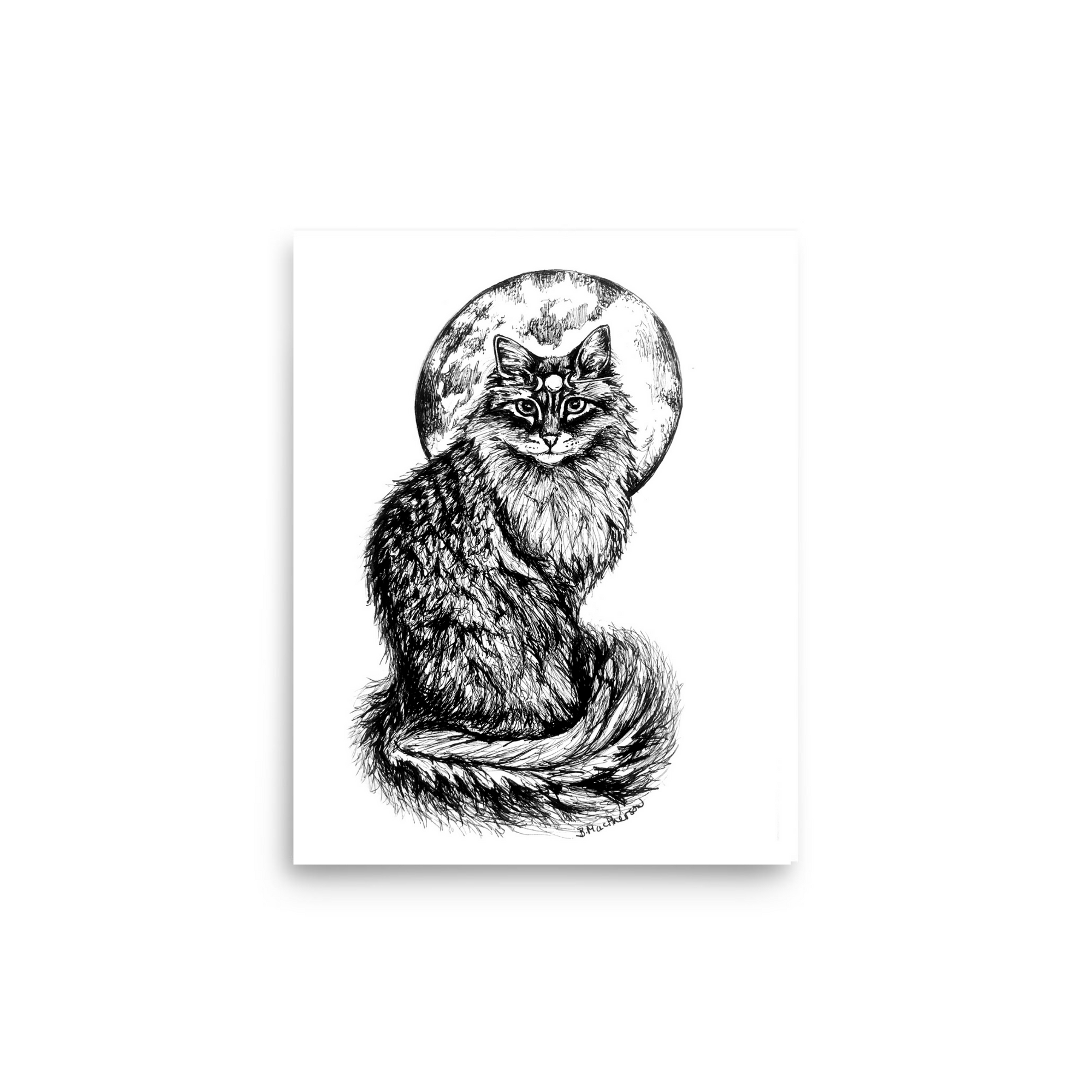 Pen & ink illustration of a fluffy cat with a moon crown. Gothic style art print by B. MacPherson Studio in size 8x10