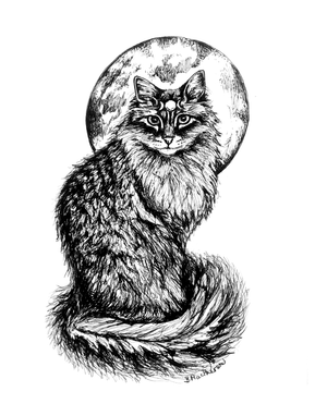 Moon Cat - Fine Art Print