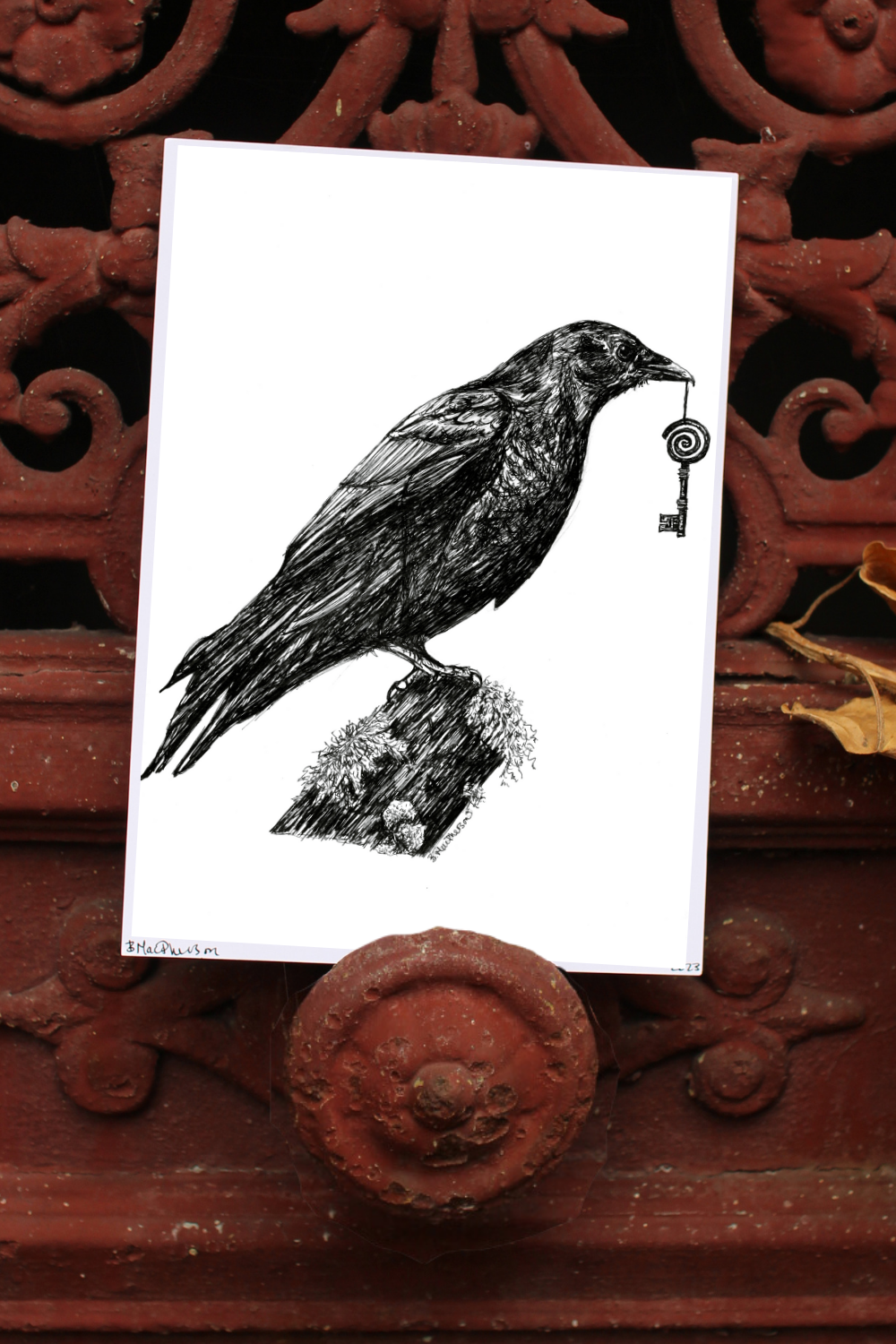 Corvid's Gift -Fine Art Print