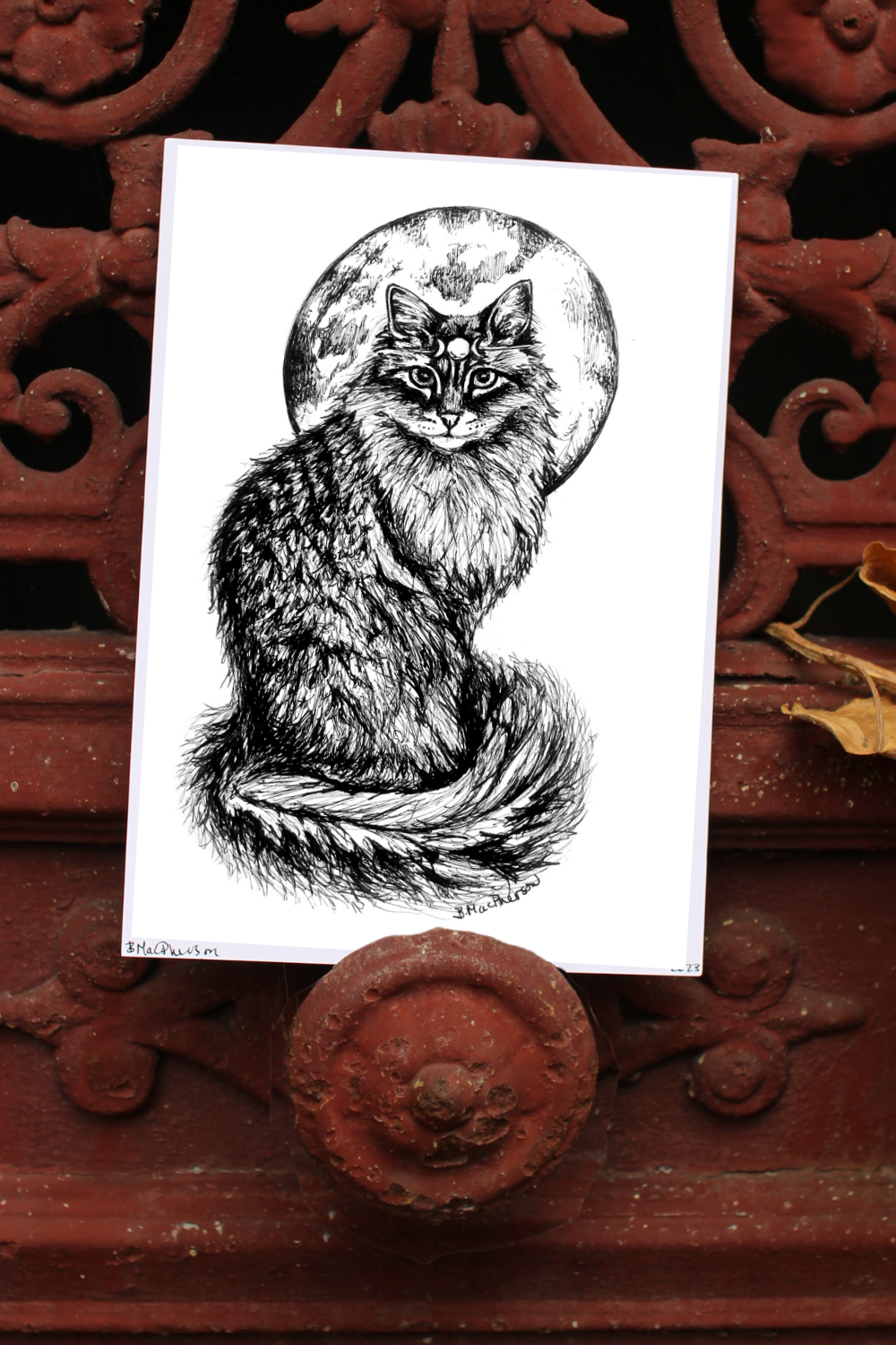 Pen & ink illustration of a fluffy cat with a moon crown. Gothic style art print by B. MacPherson Studio placed in front of a rusty cemetery gate.