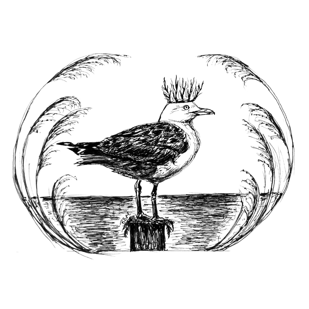 Regal Seagull- Original Pen & Ink Illustration