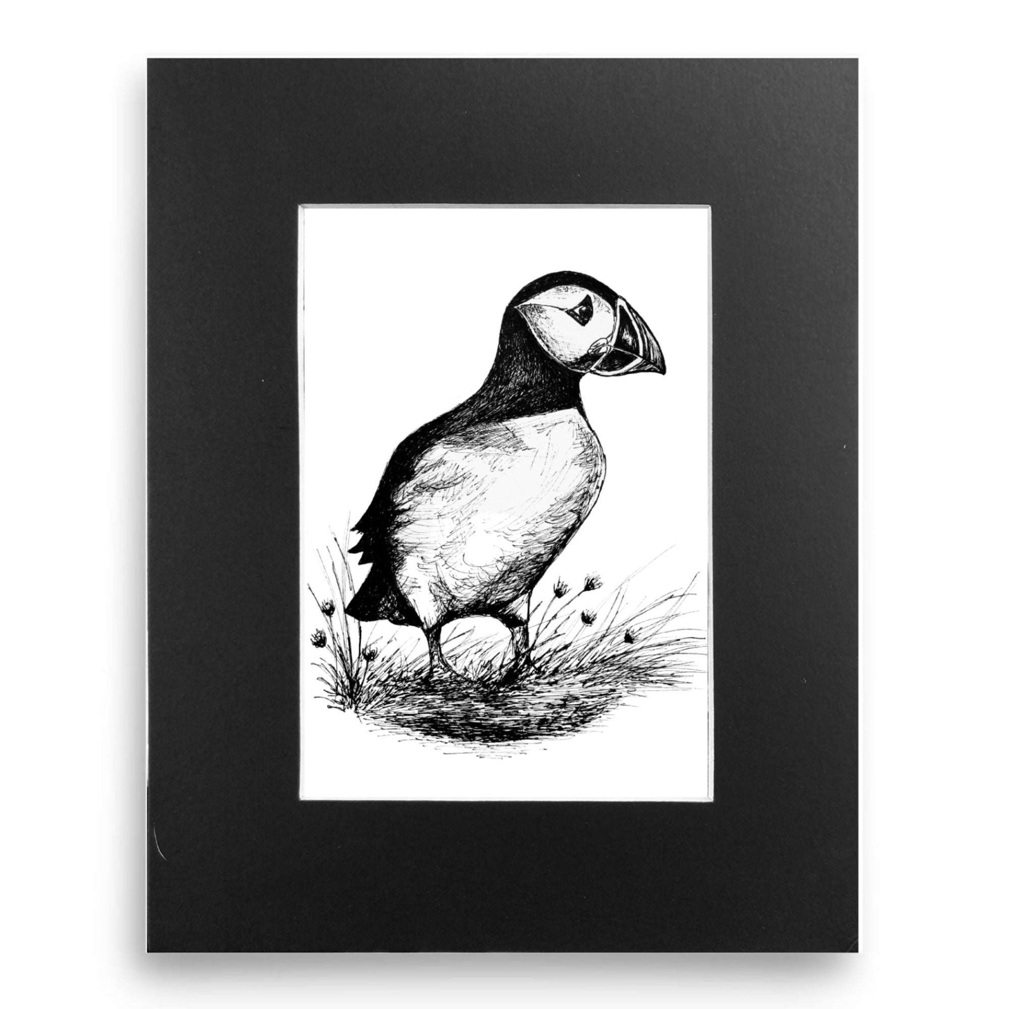 Staffa Island Puffin - Original Pen & Ink Illustration