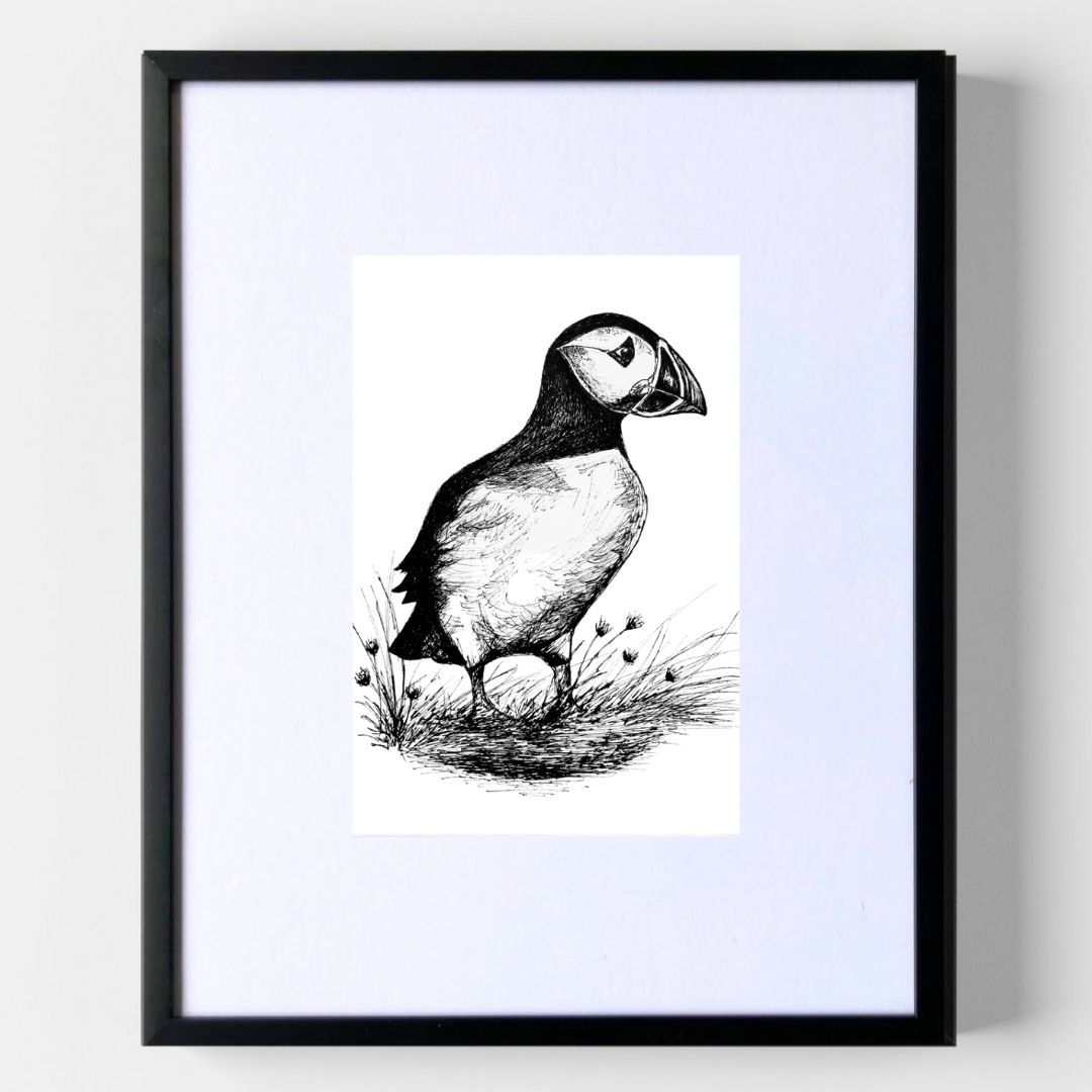Staffa Island Puffin - Original Pen & Ink Illustration