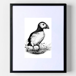 Staffa Island Puffin - Original Pen & Ink Illustration