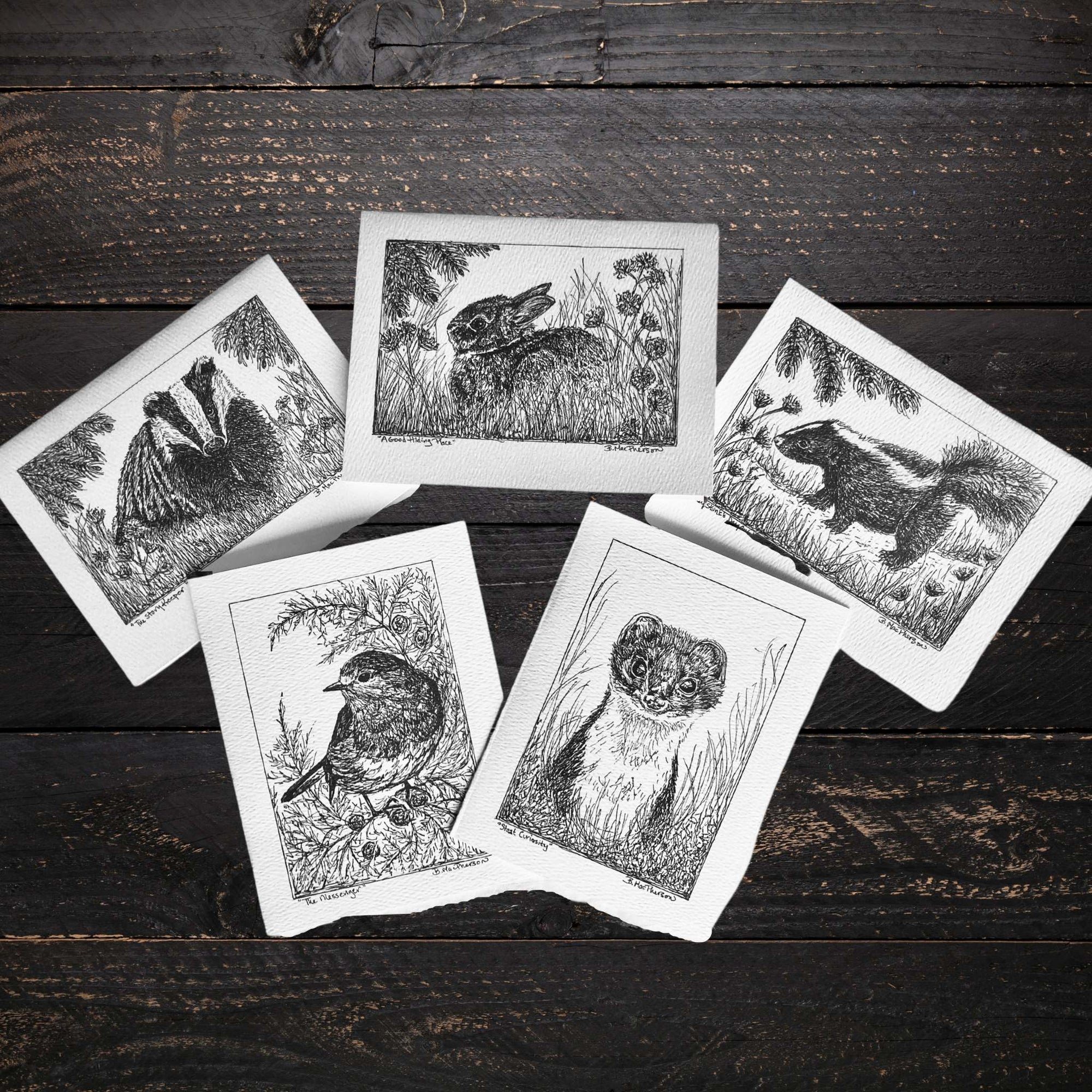 Woodland Creatures Notecard Set