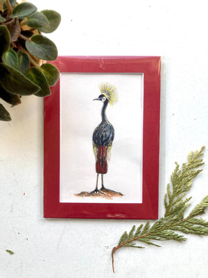 Crowned Crane - Original Watercolor Illustration